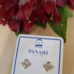 گوشواره میخی